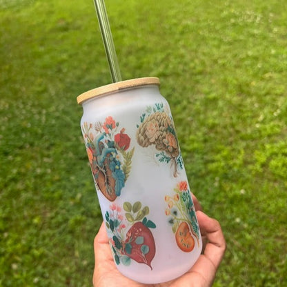 Vaso esmerilado Anatomía humana floral